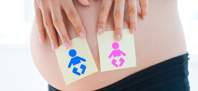 Qual o sexo do bebê que vai nascer Qual o sexo do bebê que vai nascer