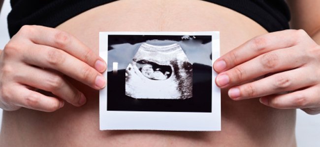 o-que-é-a-placenta-e-para-que-serve A o-que-é-a-placenta-e-para-que-serve A