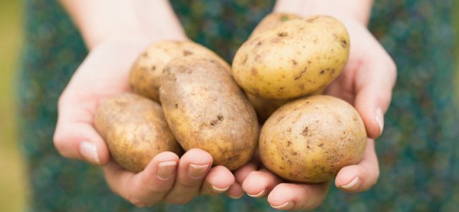 batata-quente-brincadeiras A batata-quente-brincadeiras A