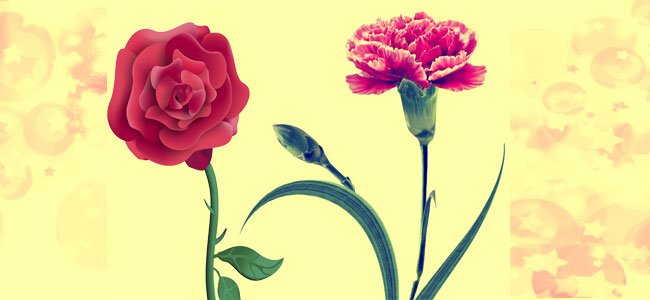 Letra da cantiga O cravo brigou com a rosa